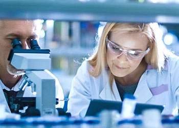 Kachel Researchers